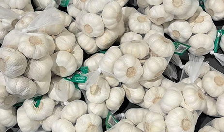Fresh-Pure-white-garlic-with-best-price-from-china-05