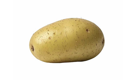 Chinese-Export-Grade-Potato05