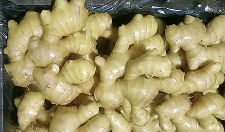 Chinese-Fresh-Ginger-supplier04