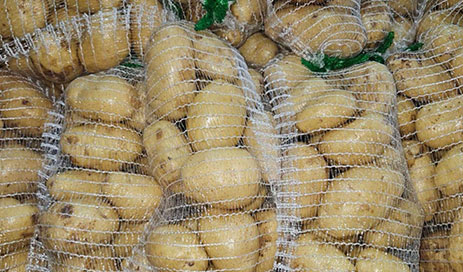 Chinese-potato-wholesaler05