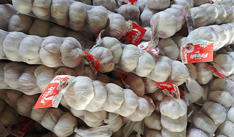High-Quality-Garlic-Organic-Crops-Standardized-Processing04
