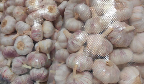Pure-Natural-Organic-Purple-Skinned-Garlic05